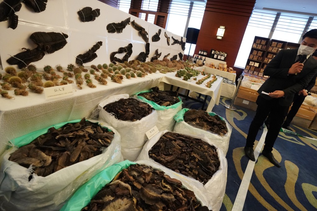 Hong Kong Customs conducted a joint anti-smuggling operation in June that included some endangered species. Photo: SCMP / Felix Wong