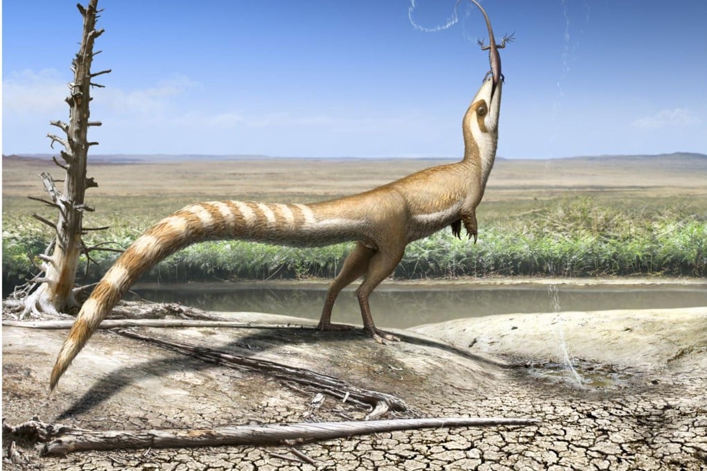 An artistic interpretation of Sinosauropteryx, the first dinosaur discovered that showed evidence of having feathers. Photo: Robert Nicholls
