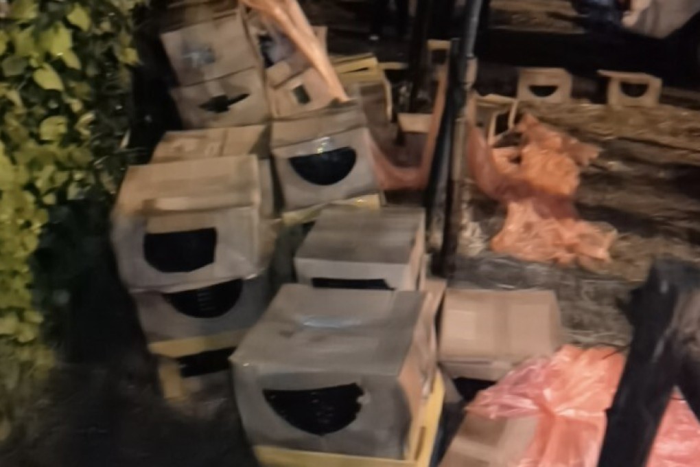 Over 100 dogs and cats packaged and sold online as “pet mystery boxes” were dumped beside a road in Shanghai. Photo: Weibo