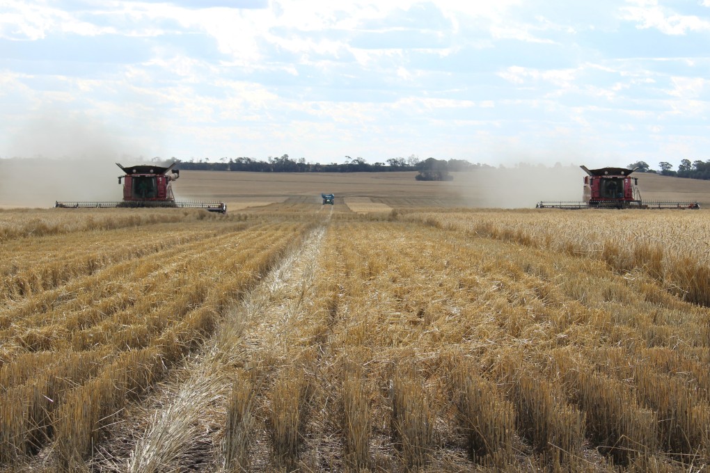 China is the world’s biggest producer and consumer of wheat, but is still short of the quality and quantity it needs. Photo: Reuters