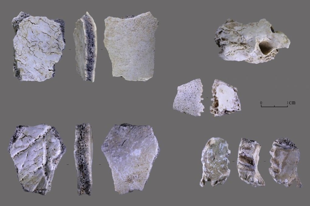 Human skull fossils unearthed from a cave site in China’s Henan province date back tens of thousands of years. Photo: Henan Provincial Institute of Cultural Heritage and Archaeology