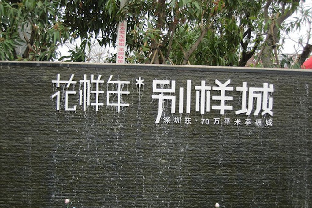 Fantasia Holdings Group, the Shenzhen-based property developer founded by the niece of a former Chinese vice-president, failed to repay US$205 million of debt due on Monday. Photo: Weibo