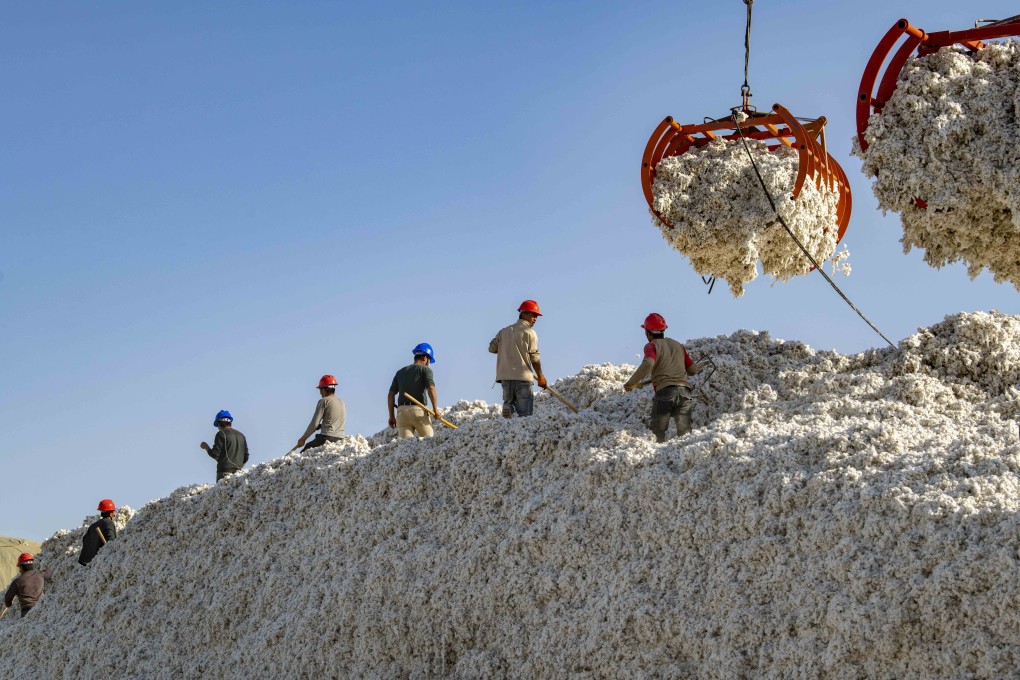 Xinjiang Production and Construction Corps controls Xinjiang’s cotton output, which accounts for 20 per cent of global supply. Photo: Xinhua