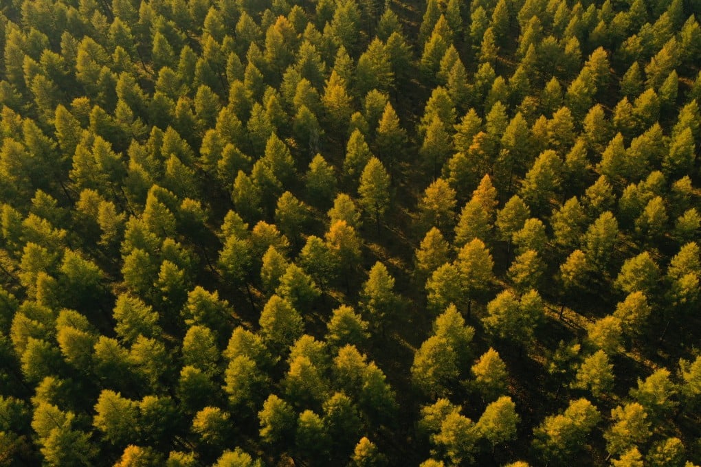 None of the biodiversity targets set a decade ago has been met fully. Photo: Xinhua