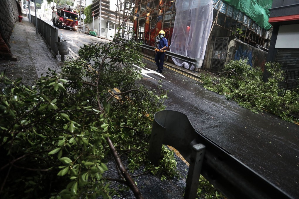 Firefighters clear away fallen tree branches on Eastern Street in Sai Ying Pun on Sunday. Photo: Jonathan Wong