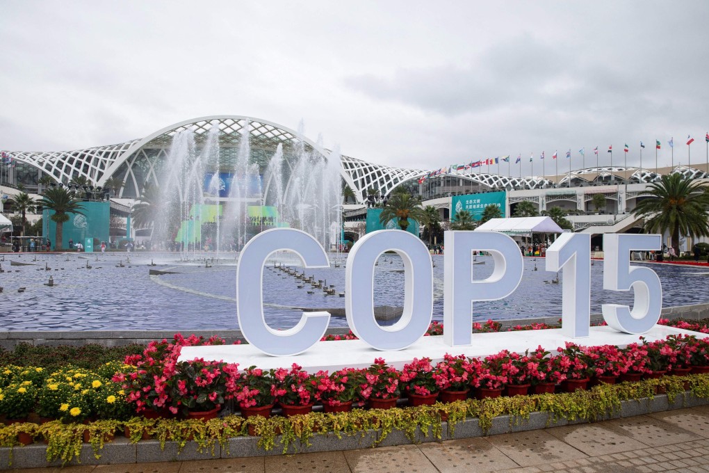 The Chinese city of Kunming is hosting the UN Biodiversity Conference – known as COP15. Photo: STR/AFP