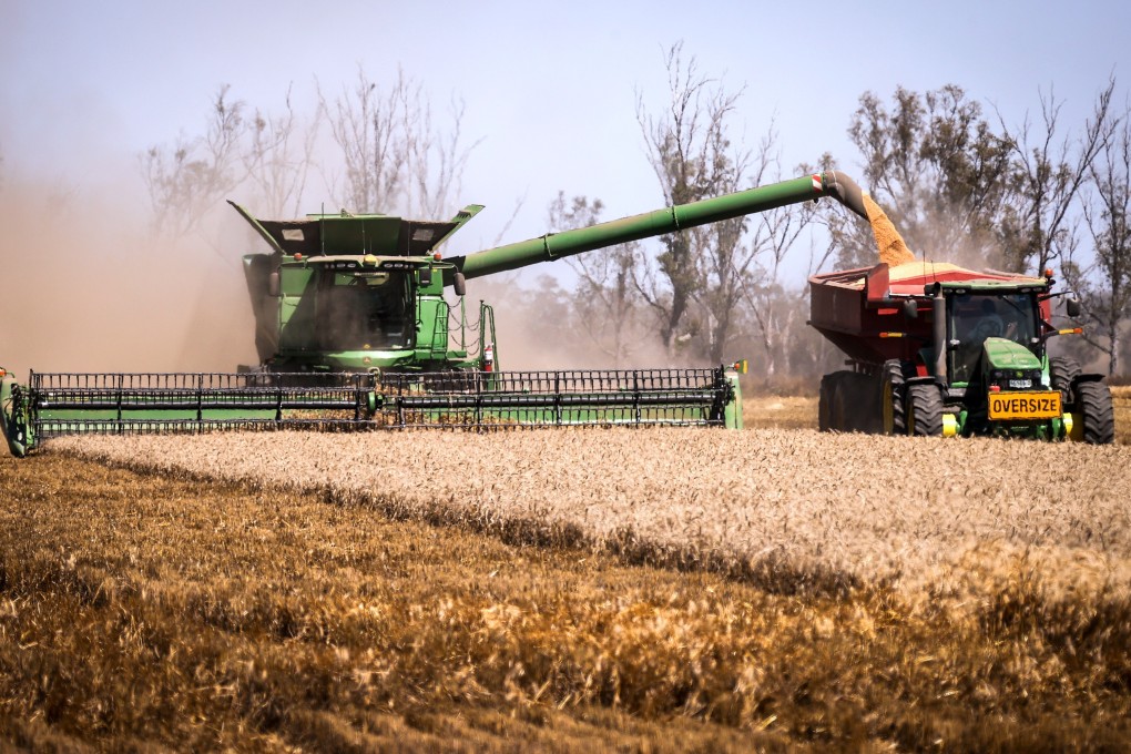 Better known for its wheat and barley, Australia is forecast to harvest a record canola crop of more than 5 million tonnes this season, according to government data. Photo: Bloomberg