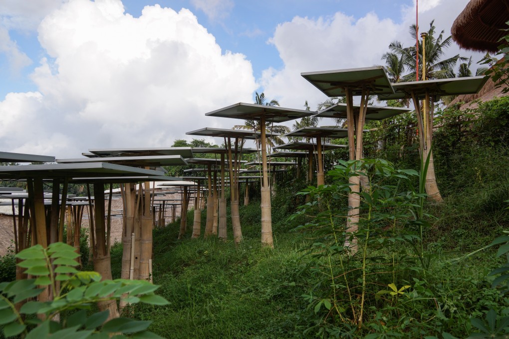 Solar cells in Bali, Indonesia. A recent report estimates that the country has explored just 1 per cent of its solar power potential. Photo: Shutterstock