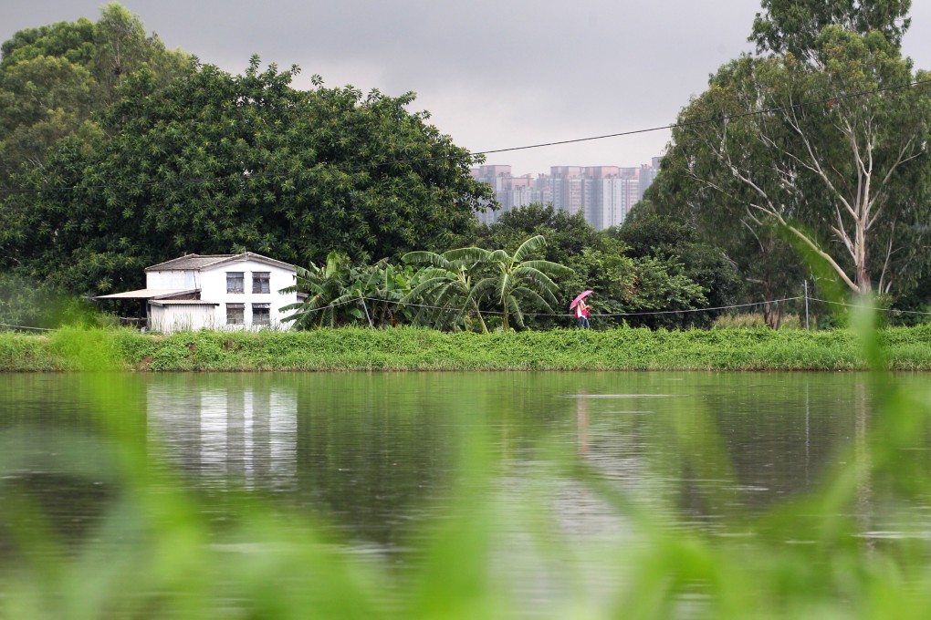 The Nam Sang Wai area in Yuen Long, northern Hong Kong. Photo: Felix Wong