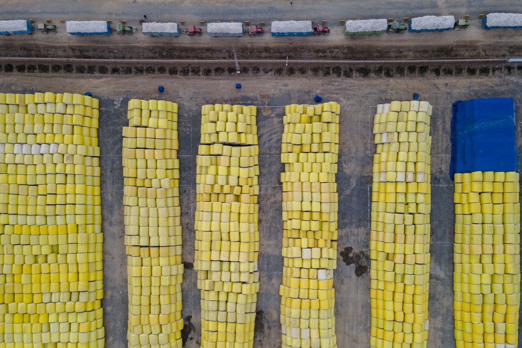 Farmers wait to sell cotton in Shawan, in the Xinjiang Uygur autonomous region, the largest cotton-growing area in China. Photo: Xinhua