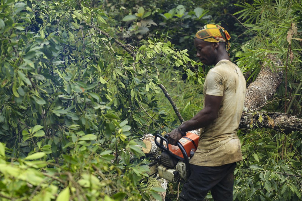 The Congo Basin is home to the second largest rainforest in the world. Photo: AFP