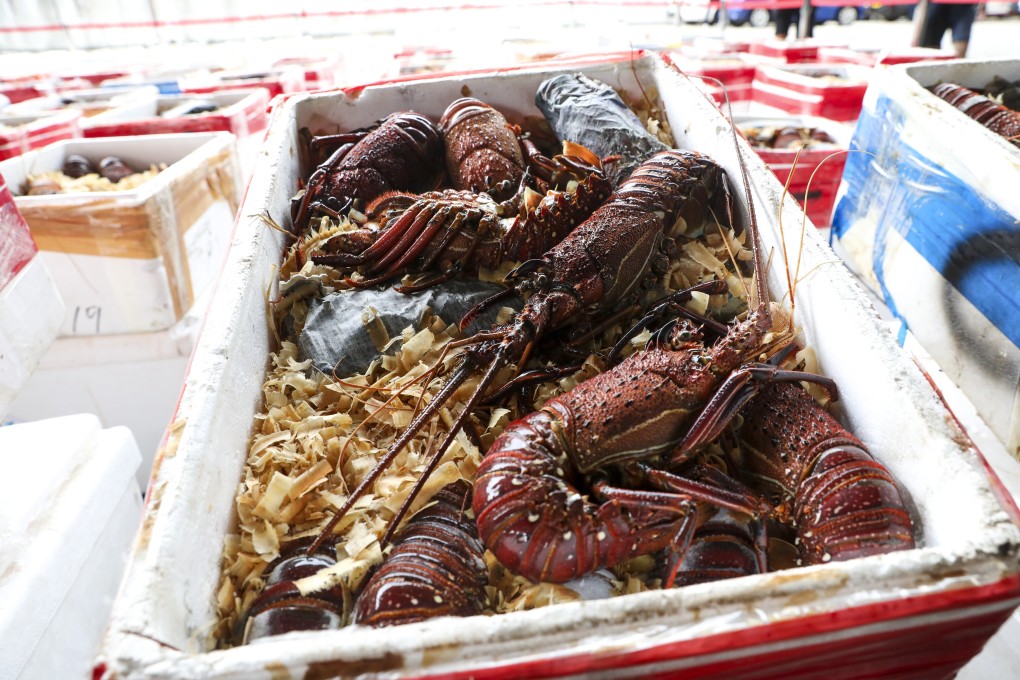The smuggling of Australian lobsters into the mainland is now regarded as a security issue, according to Hong Kong’s new customs chief Louise Ho. Photo: Winson Wong