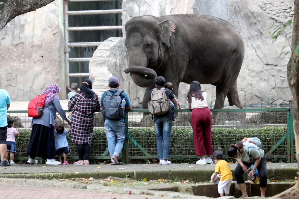 Indonesians visit the elephant enclosure at Ragunan Zoo in Jakarta. Photo: EPA-EFE