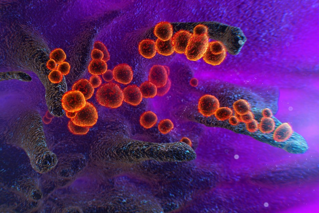 Sago, a new permanent body, is a bid to move past the politics and controversy that has surrounded the search for the origins of the coronavirus. Photo: TNS