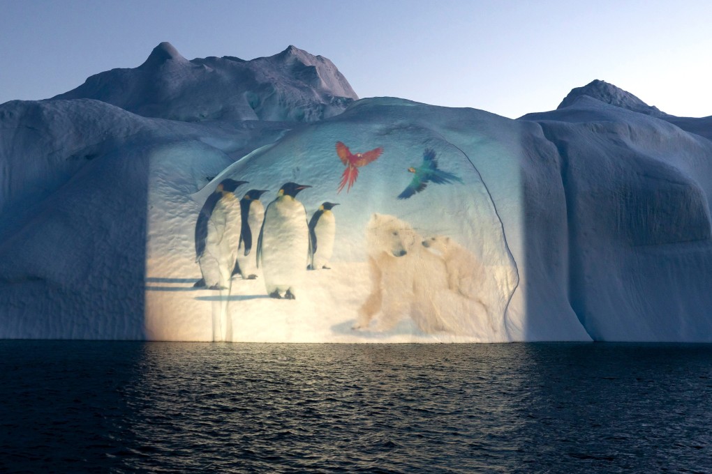 This illuminated iceberg in Greenland was part of a project by Swiss light artist Gerry Hofstetter as temporary memorial to climate change. Photo: EPA