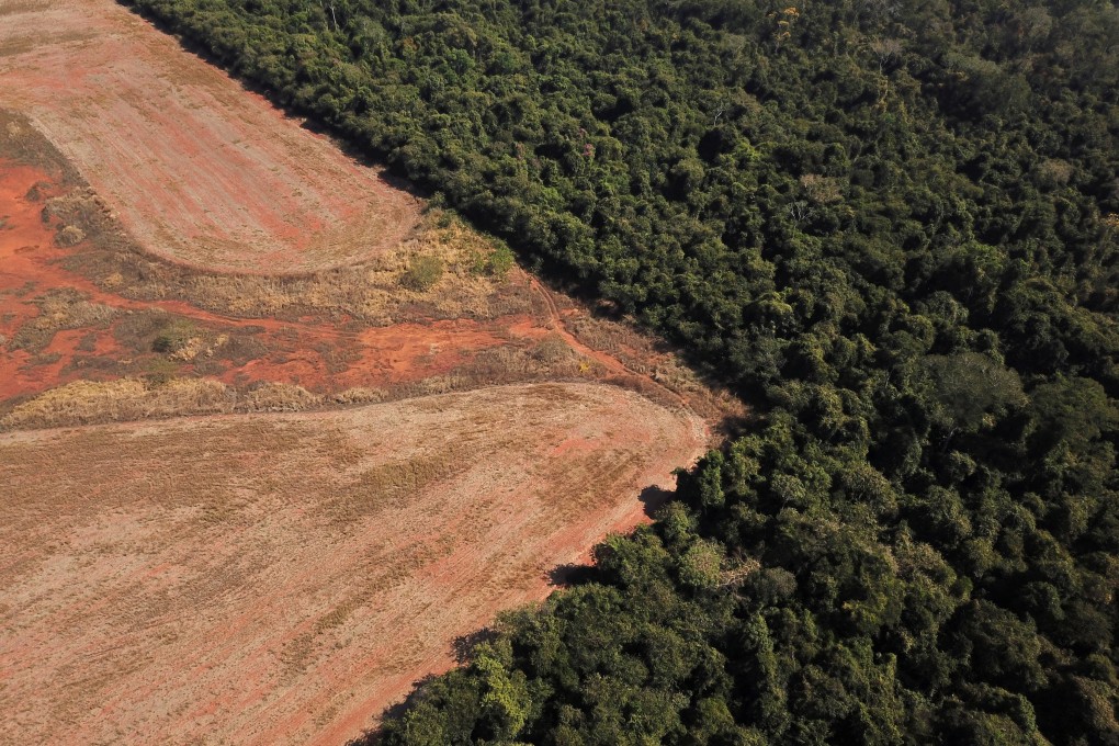 An aerial view shows deforestation near the border between Amazonia and Cerrado in Brazil in July. Photo: Reuters