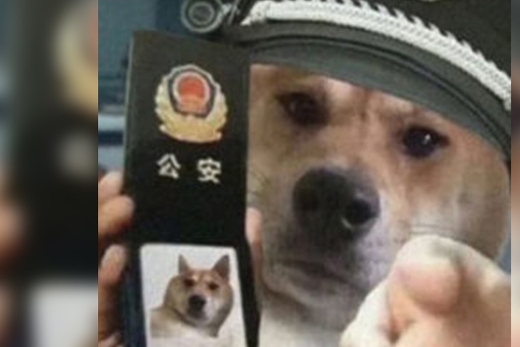 The meme was posted on social media where it was seen by members of a chat group. Photo: SCMP artwork
