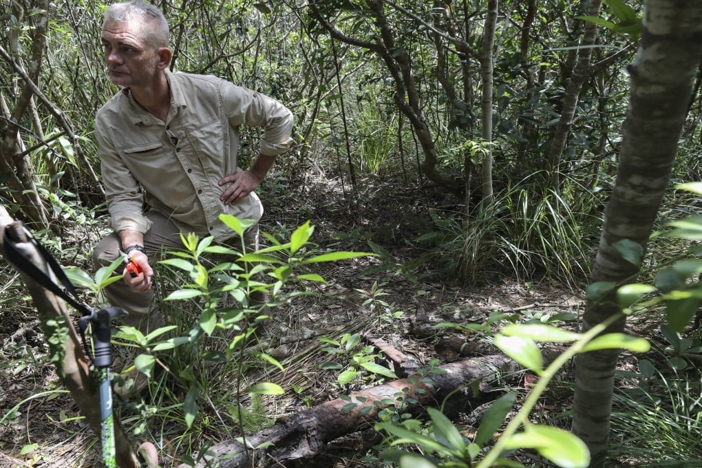 "Tam Tai 95": Những Điều Cần Biết về Hạn Tam Tai Tuổi Ất Hợi 1995