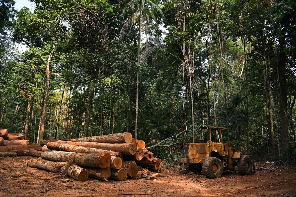 More than 100 global leaders pledged at the recent COP26 climate talks in Glasgow to halt and reverse deforestation by the end of the decade. Photo: AFP