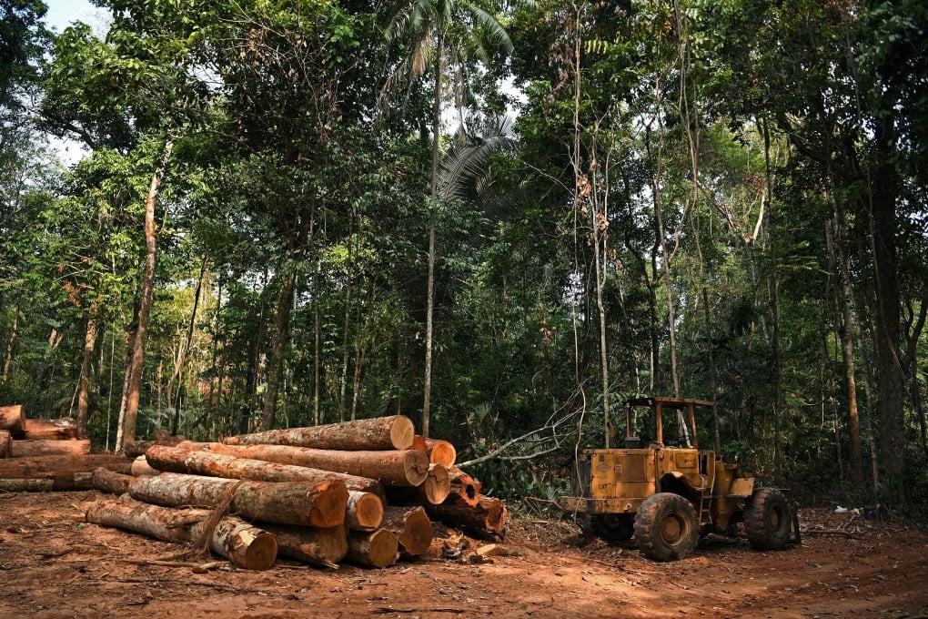 More than 100 global leaders pledged at the recent COP26 climate talks in Glasgow to halt and reverse deforestation by the end of the decade. Photo: AFP