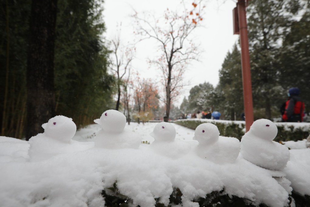 Snow ducks in a Beijing street on Sunday morning. Photo: Simon Song