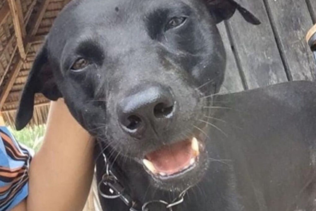 Canon was allegedly seized from the Kimo Resort off Sumatra island by local government officials as part of a drive to ensure tourist facilities are sharia compliant. Photo: Instagram