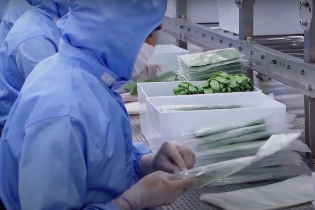 Workers at a Smart Glove factory in Malaysia. Photo: YouTube