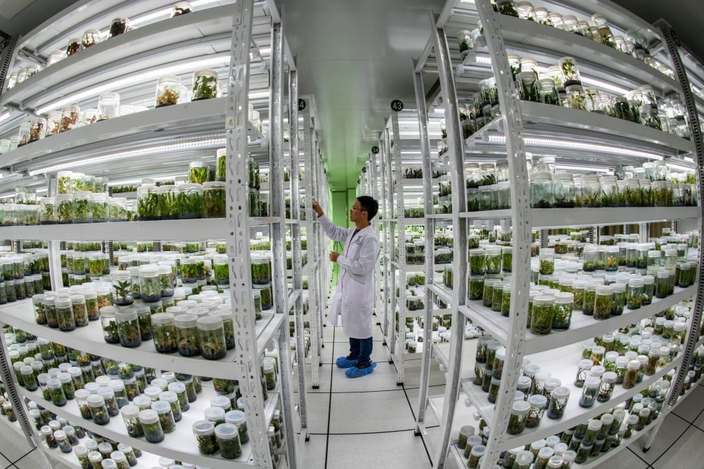 China’s leadership last year called for a breakthrough in biotechnology and seed production. Photo: Xinhua