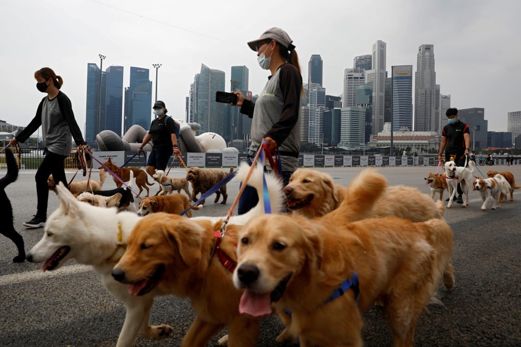 Singapore is trying to tread a path of reopening to rebuild its status as an international hub while keeping a tight lid of infections. Photo: Reuters