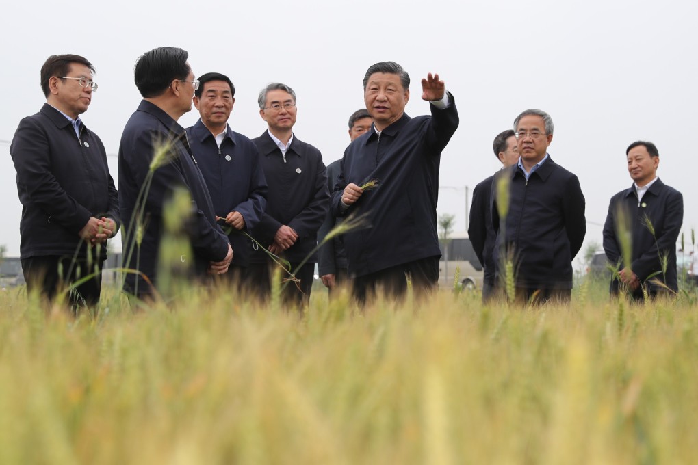 A call by the National Development and Reform Commission to diversify China’s grain sources came as relations with some exporting countries have soured. Photo: Xinhua