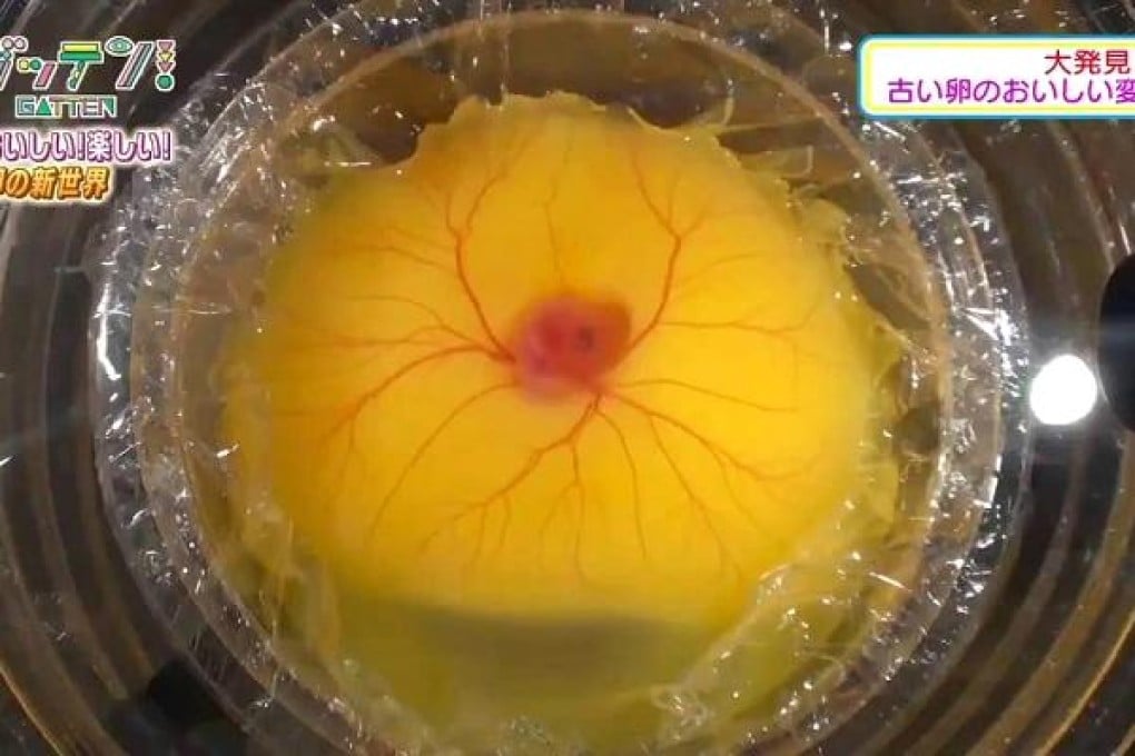 Japanese students are first to hatch a chicken egg without its shell. Photo: YouTube