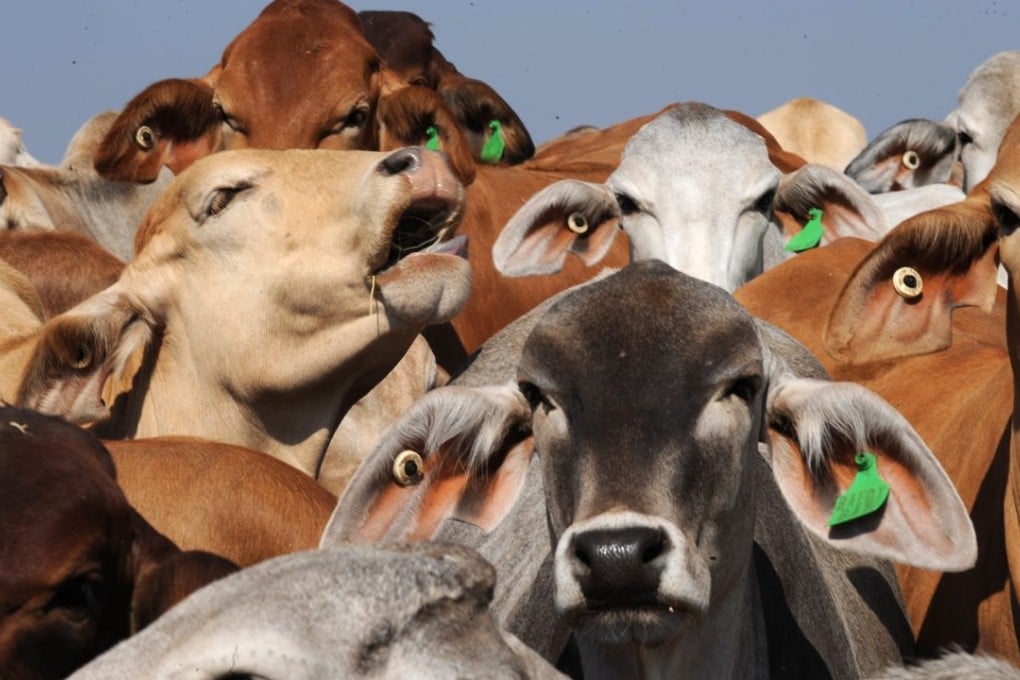The Northern Territory government said the investment would benefit two-way trade between Australia and Asia. Photo: EPA