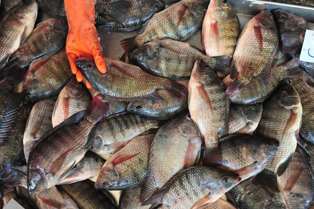 Fresh fish at a Thai market. Thailand is one of the 12 countries or territories that fishes the South China Sea. Photo: Xinhua