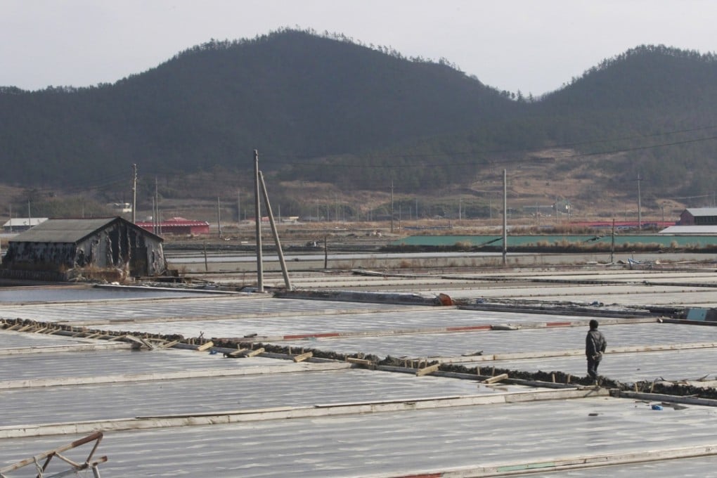 A salt farm owner walks around his salt farm on Sinui Island, South Korea. Photo: AP