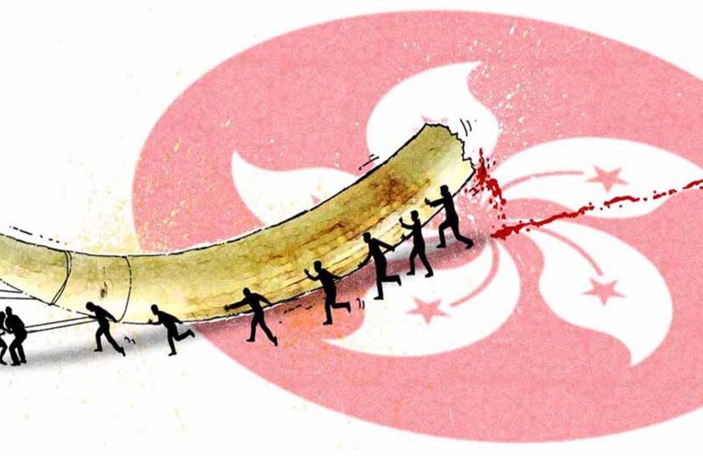 Our findings demonstrate that there are many systemic flaws in the way the Hong Kong ivory trade is regulated.