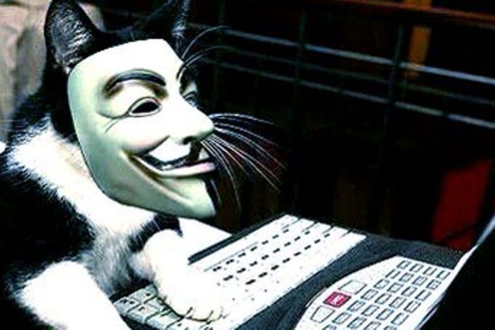 Feline members of the Anonymous group do their part to fight Islamic State. Photo: Twitter