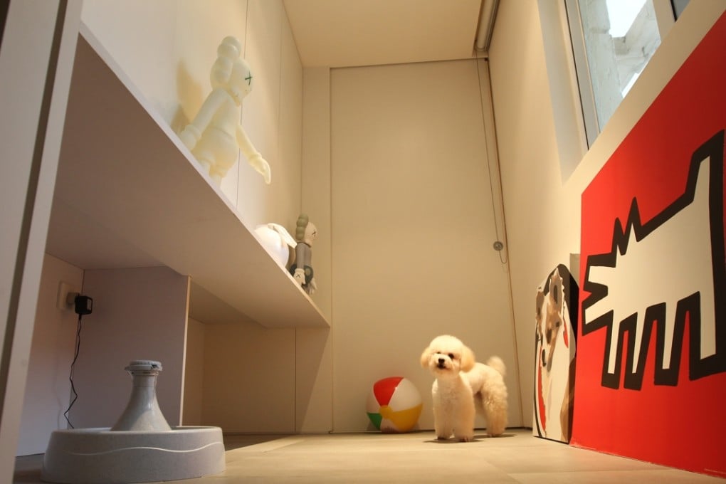 This lucky dog has its own room in a flat on Conduit Road, Mid-Levels, designed by Mio Design.