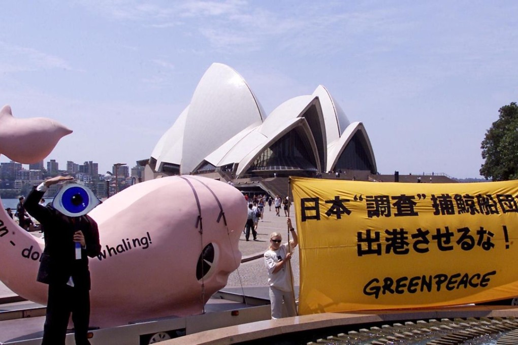 Greenpeace activists have long protested Japanese whaling. Photo: AFP