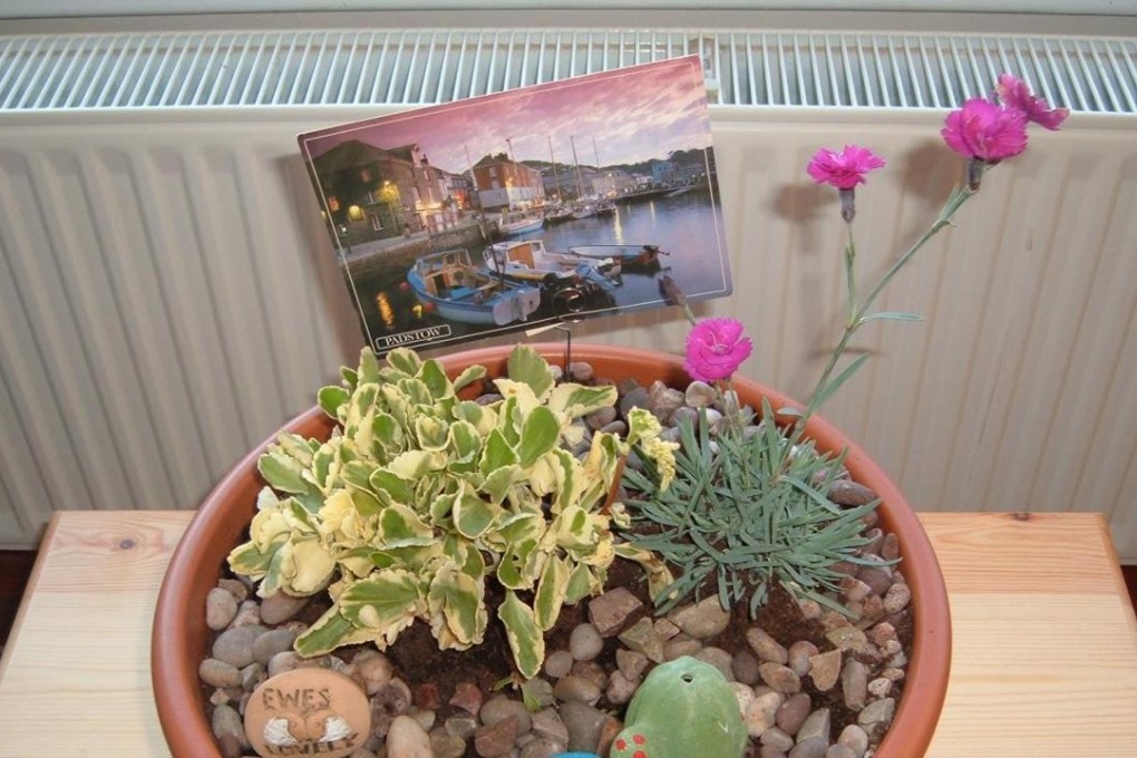 A garden bowl is part of a study examining whether the benefits of nature can be reaped from a small indoor garden. Photo: Dr Ceri Phelps