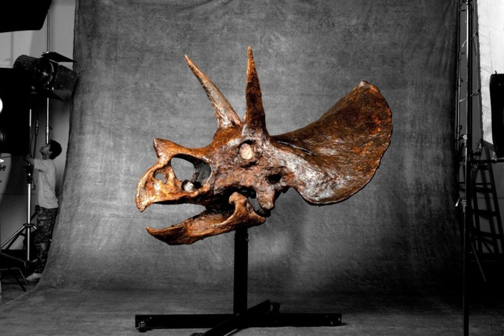 Millions of years since the sun set on the age of the dinosaurs, the data that connects why tech titans fall sing a similar tune - if they do not adapt or disrupt themselves, someone eventually will. Photo: SCMP Pictures.