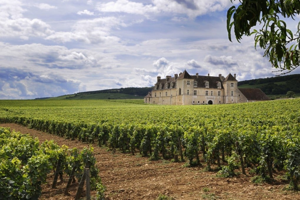 Vineyard Chateau du Clos de Vougeot, Cote d'Or, Burgundy. Photo: Corbis