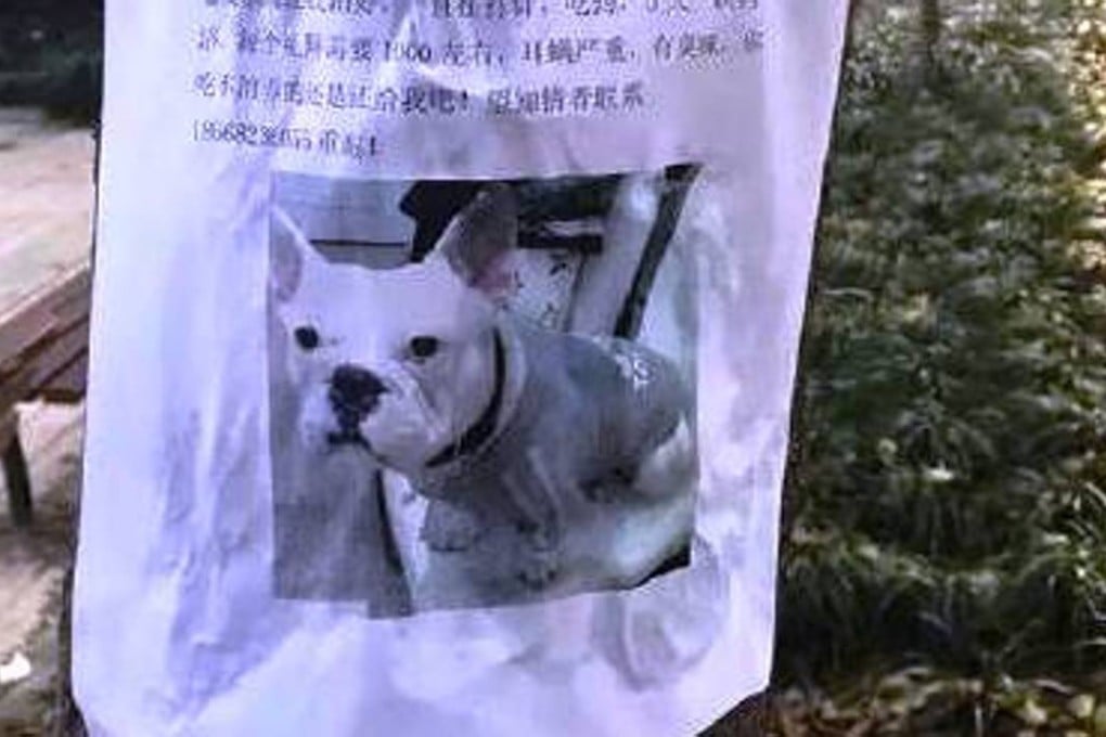 The missing dog notice for the bulldog. Photo: Metro Express