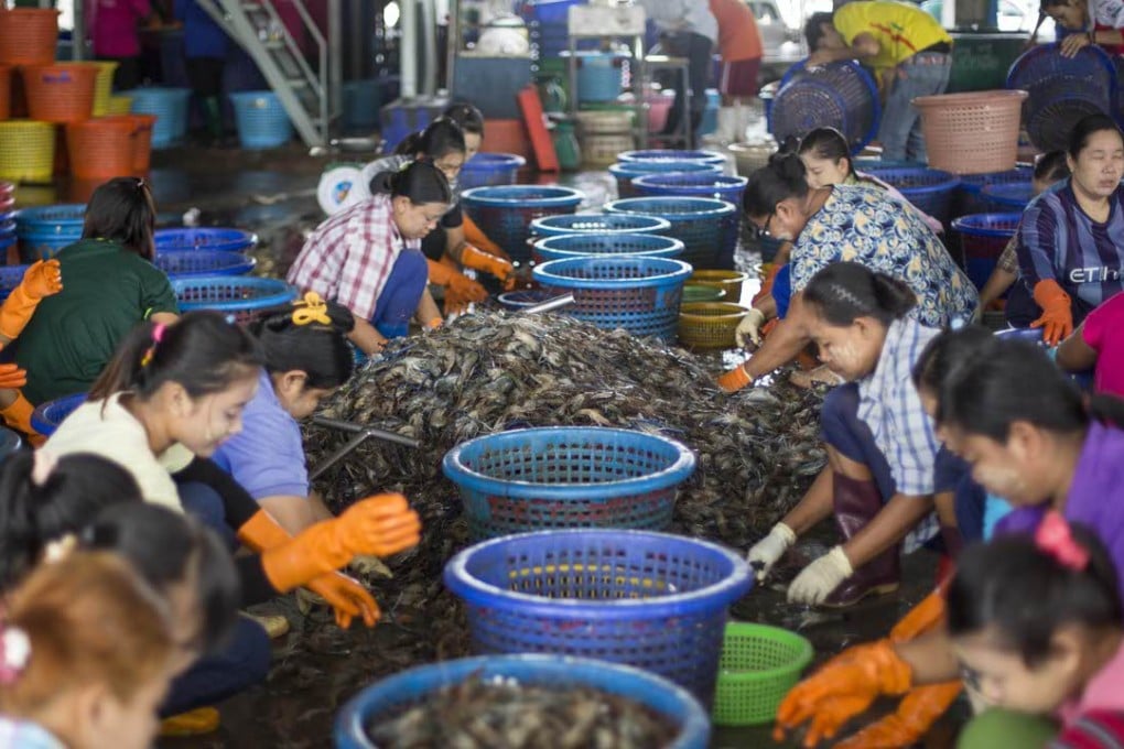 Female workers, wearing a yellow-white cosmetic paste known as thanka on their cheeks, sort shrimp at a seafood market in Mahachai, Thailand. Photo: AP
