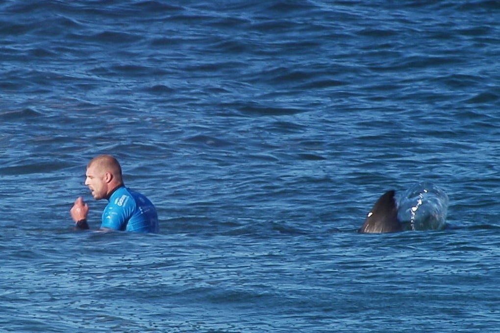 Australian surfer Mick Fanning shortly before being attacked by a shark in July. Photo: AFP
