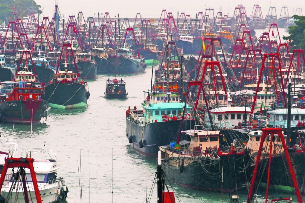 Scientists believe more protected marine areas in Hong Kong, if well placed and managed properly, would play a key role in reviving fish stocks and coral reefs. Photo: SCMP Pictures