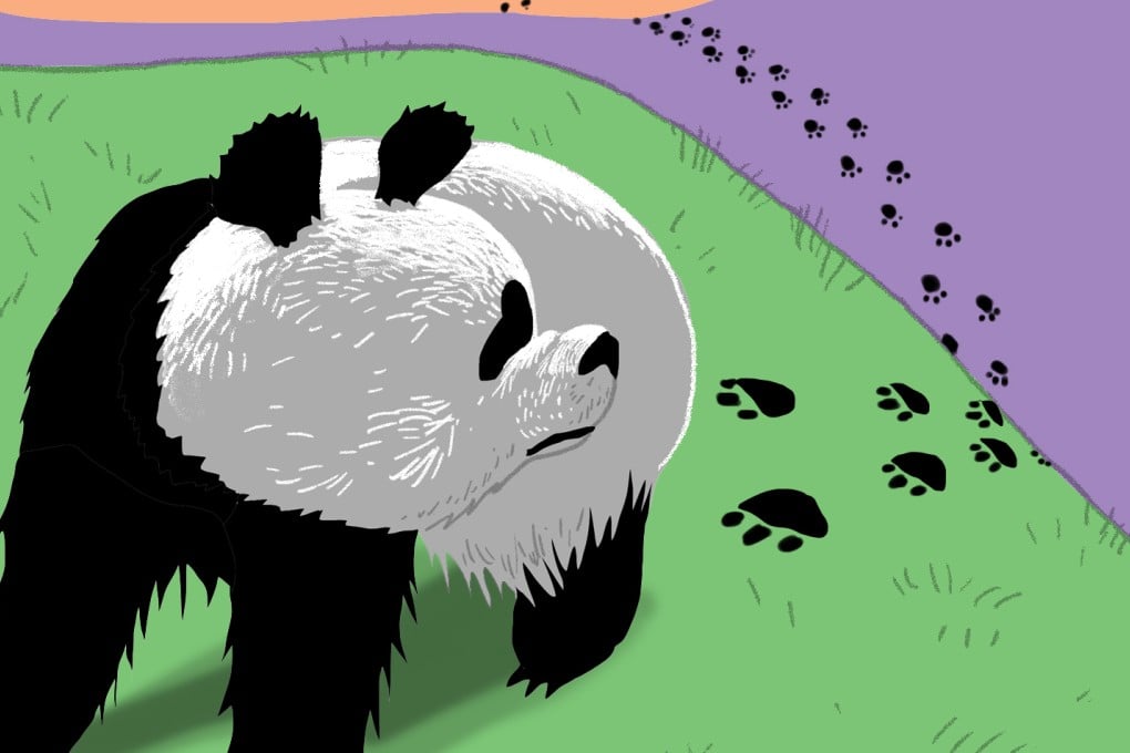 No Caption Available.