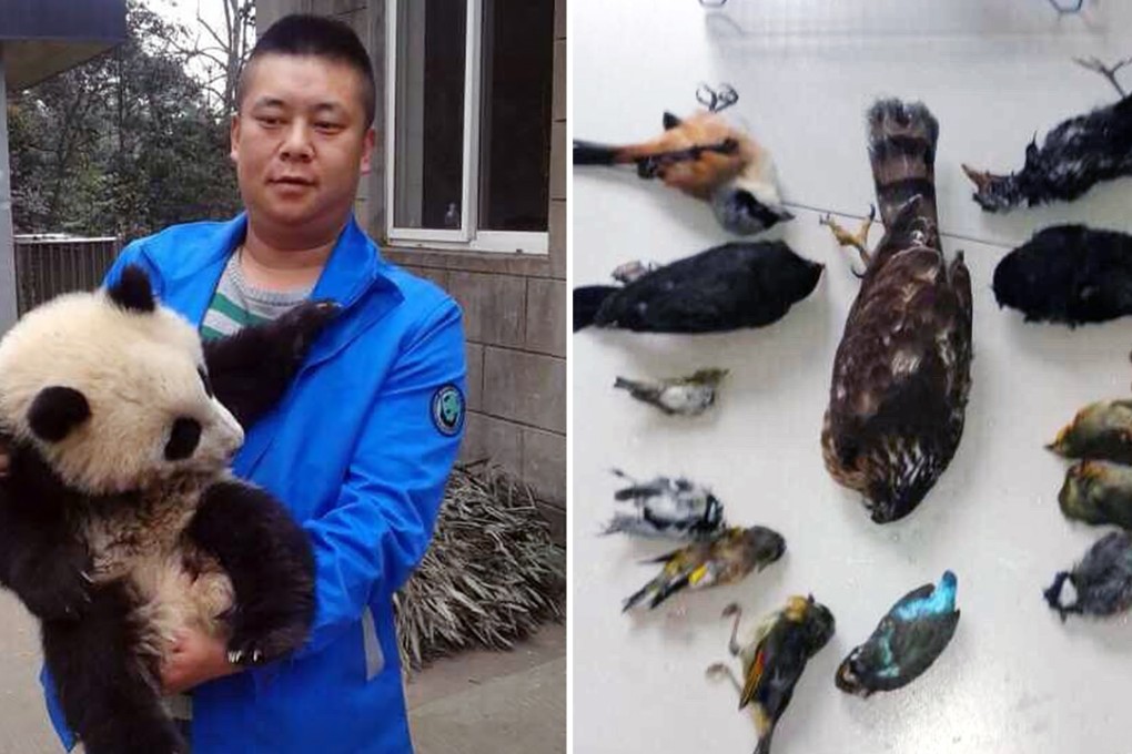 Photos posted on Weibo that were purportedly taken from the caretaker’s social media account. Photo: SCMP Pictures.