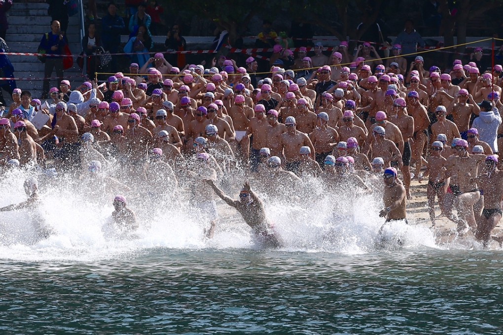 The swimmers at the start of the race. Photo: Sam Tsang