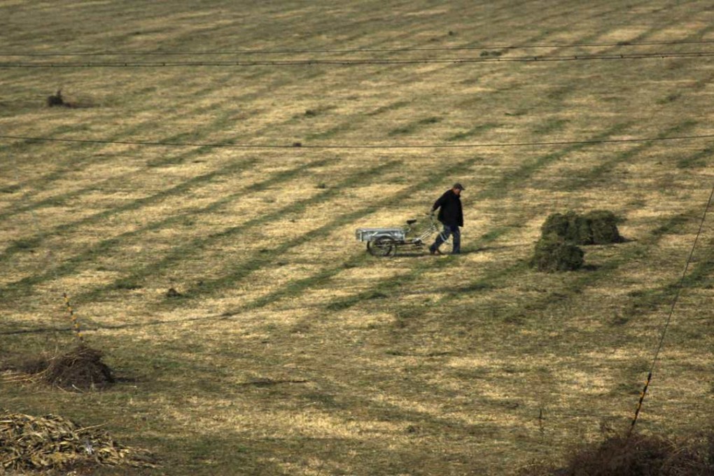 A farmer prepares to load a pile of grass onto the back of his tricycle in a paddock on the outskirts of Beijing. Photo: Reuters