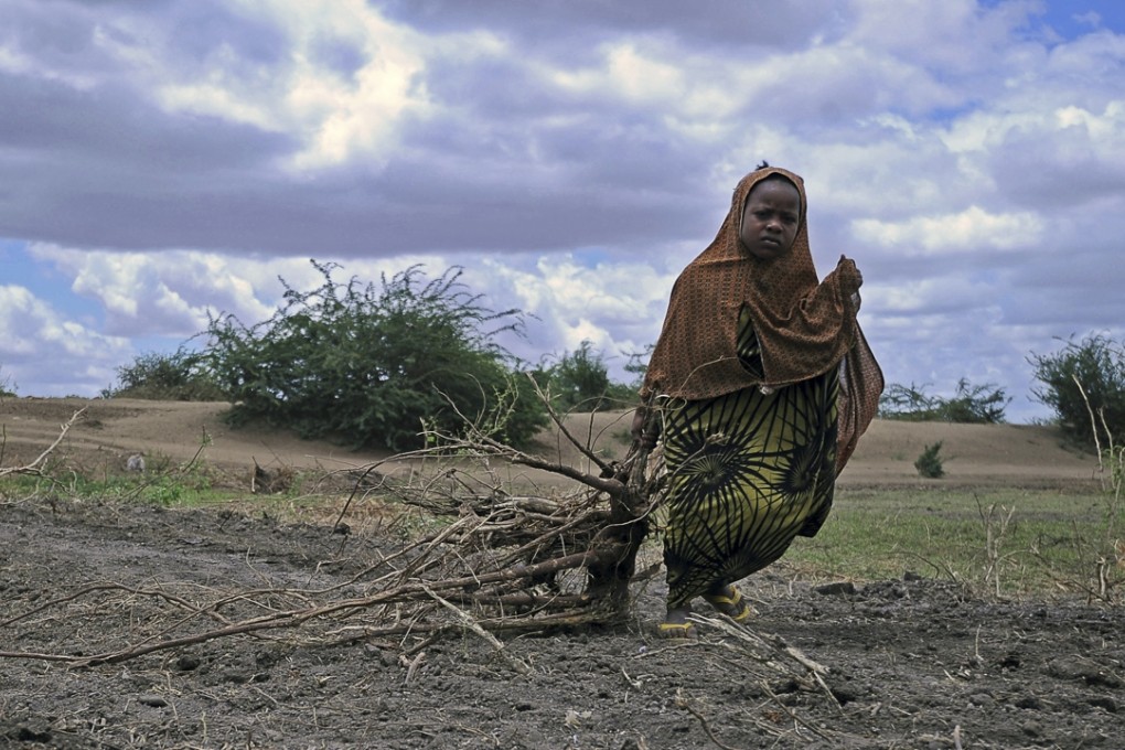 A Somali girl drags bundles of firewood for use as fuel for cooking. African nations are facing a plethora of challenges this year, including drought, and energy and food crises. Photo: AFP